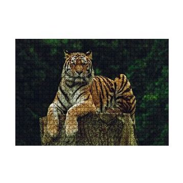 Cakapuzzle Kütüğün Üzerindeki Bengal Kaplanı 120 Parça Ahşap Puzzle