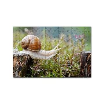 Cakapuzzle Kütükten Otların Üzerine İnen Salyangoz 120 Parça Ahşap Puzzle
