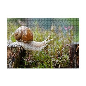 Cakapuzzle Kütükten Otların Üzerine İnen Salyangoz 120 Parça Ahşap Puzzle