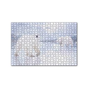 Cakapuzzle Kutup Ayıları Karlar ve Buz Kütleleri 255 Parça Puzzle