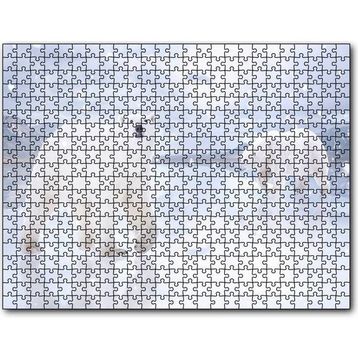 Cakapuzzle Kutup Ayıları Karlar ve Buz Kütleleri 255 Parça Puzzle