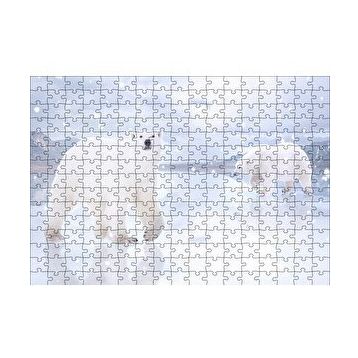 Cakapuzzle Kutup Ayıları Karlar ve Buz Kütleleri 255 Parça Puzzle
