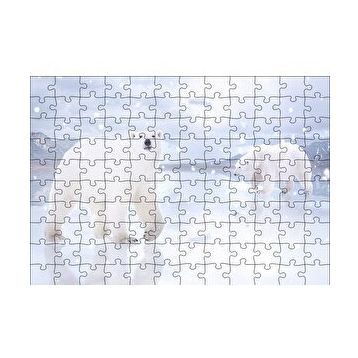 Cakapuzzle Kutup Ayıları Karlar ve Buz Kütleleri 255 Parça Puzzle