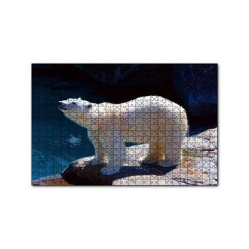 Cakapuzzle Kutup Ayısı Hayvanat Bahçesinde 255 Parça Puzzle