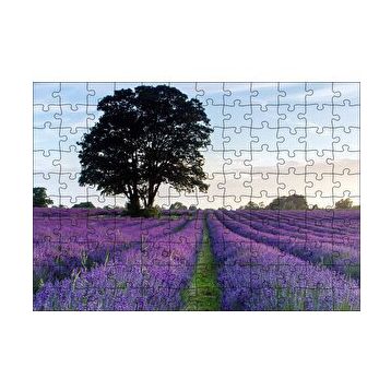Cakapuzzle Lavanta Tarlaları ve Yalnız Ağaç 120 Parça Ahşap Puzzle