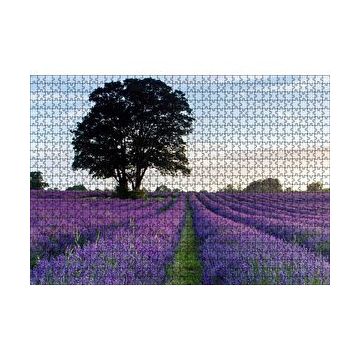 Cakapuzzle Lavanta Tarlaları ve Yalnız Ağaç 120 Parça Ahşap Puzzle