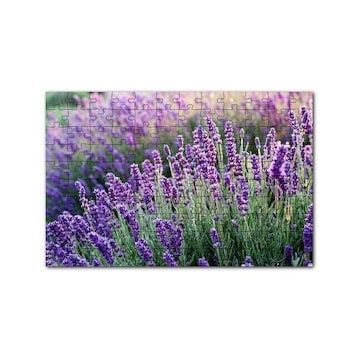 Cakapuzzle Lavanta Tarlası Yakın Çekim Detay 120 Parça Ahşap Puzzle