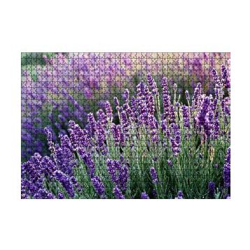 Cakapuzzle Lavanta Tarlası Yakın Çekim Detay 120 Parça Ahşap Puzzle
