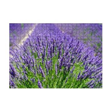 Cakapuzzle Lavanta Tarlasında Lavantalar 120 Parça Ahşap Puzzle