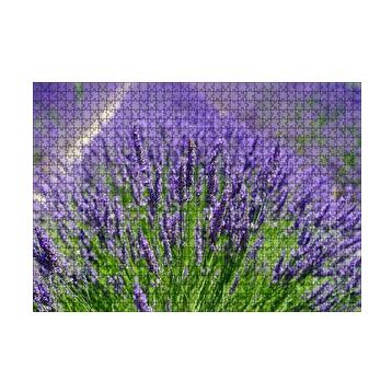 Cakapuzzle Lavanta Tarlasında Lavantalar 120 Parça Ahşap Puzzle