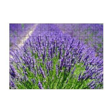 Cakapuzzle Lavanta Tarlasında Lavantalar 120 Parça Ahşap Puzzle