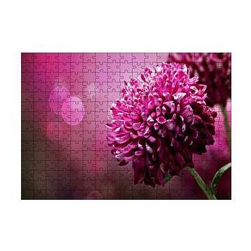 Cakapuzzle Lila Rengi Çiçek Yakın Çekim Flu Arkaplan 120 Parça Ahşap Puzzle
