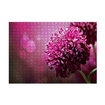 Cakapuzzle Lila Rengi Çiçek Yakın Çekim Flu Arkaplan 120 Parça Ahşap Puzzle