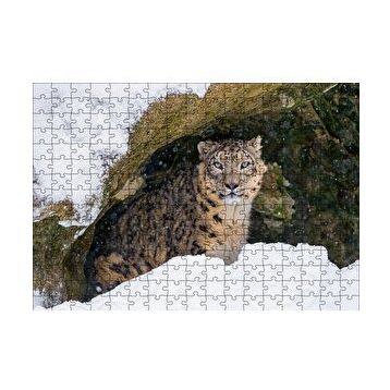 Cakapuzzle Mağara Ağzında Kar Leoparı 120 Parça Ahşap Puzzle