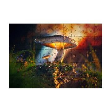 Cakapuzzle Mantar ve Örümcek Makro 120 Parça Ahşap Puzzle
