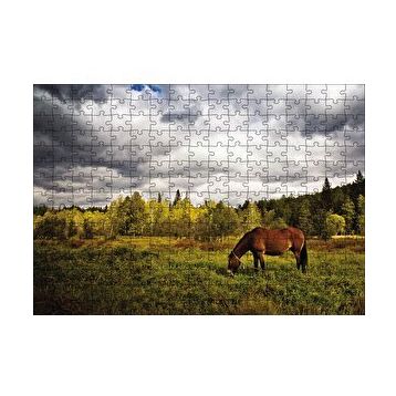 Cakapuzzle Manzara At Orman 120 Parça Ahşap Puzzle