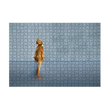 Cakapuzzle Mavi Duvar Önündeki Sarı Kedi 120 Parça Ahşap Puzzle