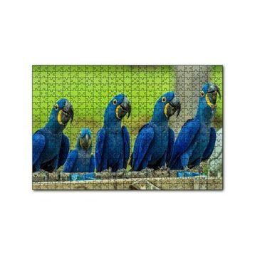 Cakapuzzle Mavi Macaw Papağanları 120 Parça Ahşap Puzzle