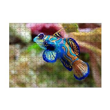 Cakapuzzle Mavi Mandarin Balığı 120 Parça Ahşap Puzzle