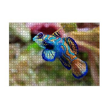 Cakapuzzle Mavi Mandarin Balığı 120 Parça Ahşap Puzzle