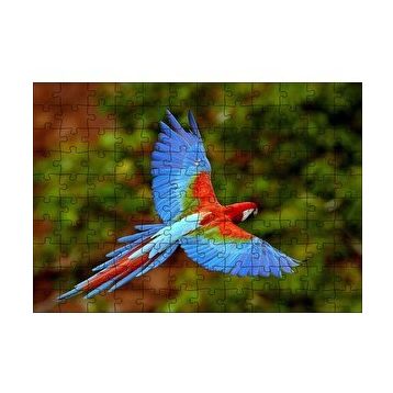 Cakapuzzle Mavi Turuncu Renkli Uçan Papağan 120 Parça Ahşap Puzzle