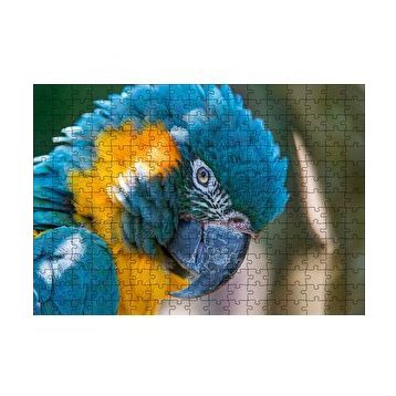 Cakapuzzle Mavi ve Sarı Macaw Papağanı Yakın Plan 120 Parça Ahşap Puzzle