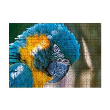 Cakapuzzle Mavi ve Sarı Macaw Papağanı Yakın Plan 120 Parça Ahşap Puzzle