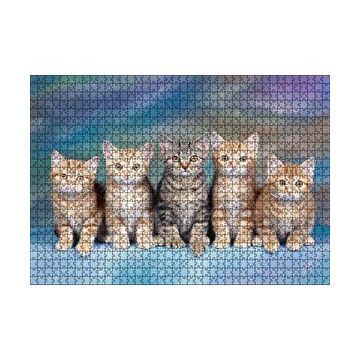 Cakapuzzle Mavi Zeminde Oturan Sarmanlar ve Tekir 120 Parça Ahşap Puzzle