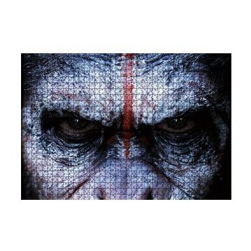 Cakapuzzle Maymunlar Cennemi Kararlı Savaşçı 120 Parça Ahşap Puzzle