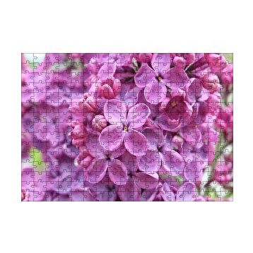 Cakapuzzle Mor Orkideler Görseli 120 Parça Ahşap Puzzle