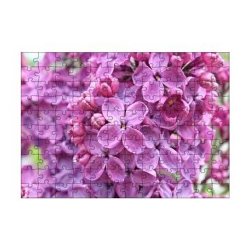 Cakapuzzle Mor Orkideler Görseli 120 Parça Ahşap Puzzle