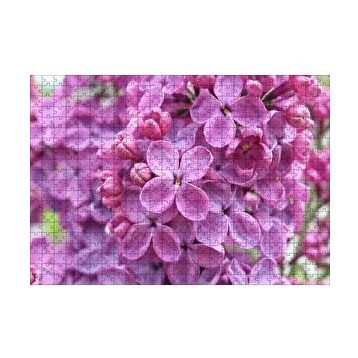 Cakapuzzle Mor Orkideler Görseli 120 Parça Ahşap Puzzle