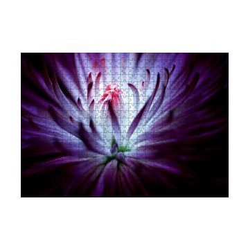 Cakapuzzle Mor Papatya Makro Çekim 120 Parça Ahşap Puzzle