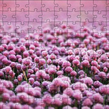 Cakapuzzle Mor Renkli Tomurcuk Çiçekler 120 Parça Ahşap Puzzle