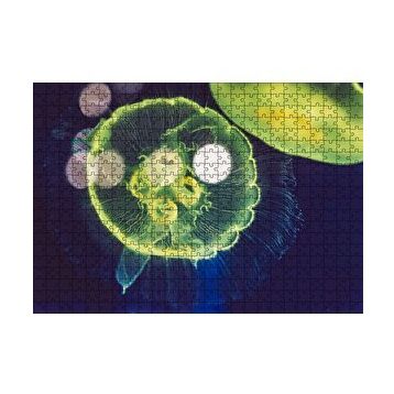 Cakapuzzle Muhteşem Güzellikte Mavi Yeşil Denizanası 120 Parça Ahşap Puzzle
