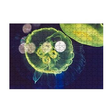 Cakapuzzle Muhteşem Güzellikte Mavi Yeşil Denizanası 120 Parça Ahşap Puzzle