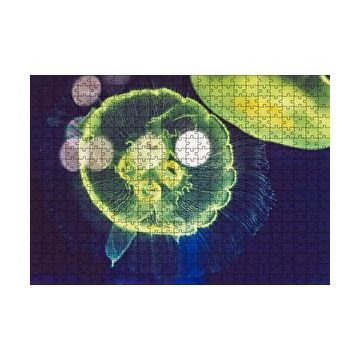 Cakapuzzle Muhteşem Güzellikte Mavi Yeşil Denizanası 120 Parça Ahşap Puzzle