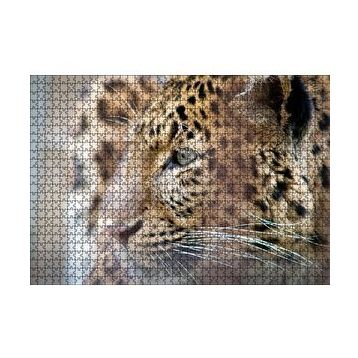 Cakapuzzle Muhteşem Güzellikteki Leopar Yakın Çekim 120 Parça Ahşap Puzzle