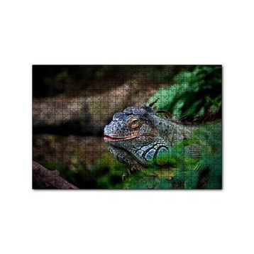 Cakapuzzle Muhteşem Renkleriyle Iguana 255 Parça Puzzle