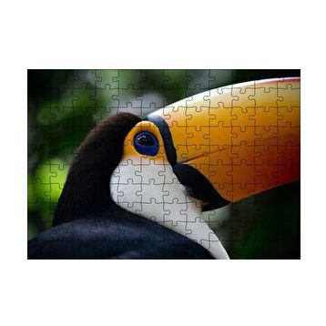 Cakapuzzle Muhteşem Renkleriyle Tukan Kuşu 120 Parça Ahşap Puzzle