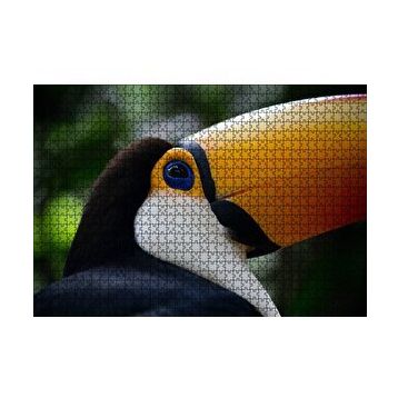 Cakapuzzle Muhteşem Renkleriyle Tukan Kuşu 120 Parça Ahşap Puzzle