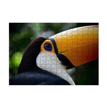 Cakapuzzle Muhteşem Renkleriyle Tukan Kuşu 120 Parça Ahşap Puzzle
