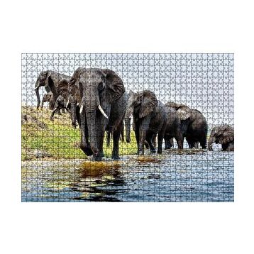 Cakapuzzle Nehir Kenarında Filler 120 Parça Ahşap Puzzle