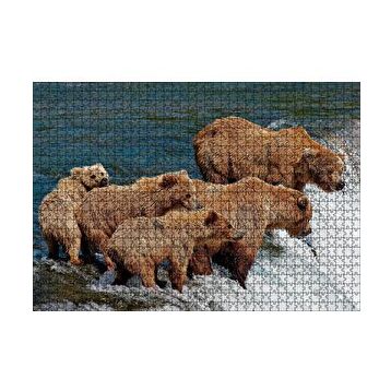 Cakapuzzle Nehir Kıyısındaki Boz Ayılar 120 Parça Ahşap Puzzle