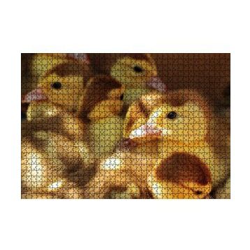 Cakapuzzle Ördek Yavruları 120 Parça Ahşap Puzzle