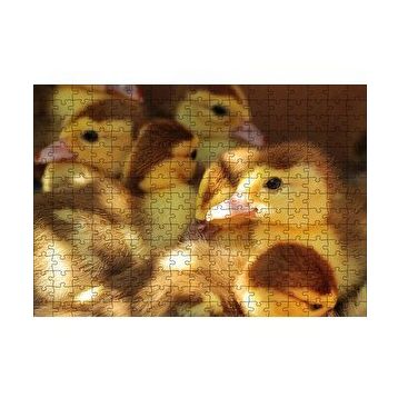 Cakapuzzle Ördek Yavruları 120 Parça Ahşap Puzzle