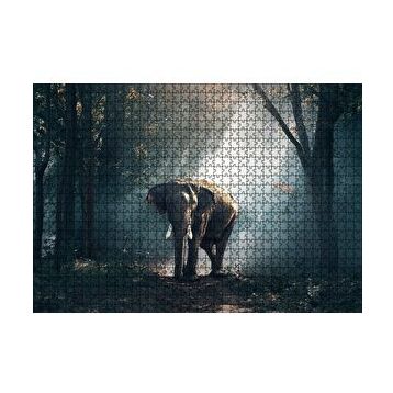 Cakapuzzle Orman Güneş Işınları ve Fil 255 Parça Puzzle
