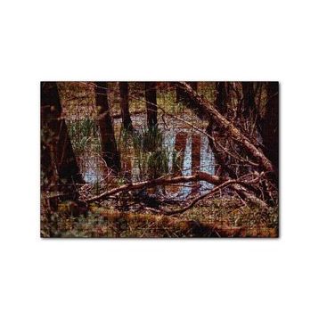 Cakapuzzle Orman ve Su Bir Arada 120 Parça Ahşap Puzzle
