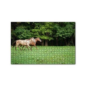 Cakapuzzle Orman Yeşil Çayırlar ve Bir Çift At 120 Parça Ahşap Puzzle