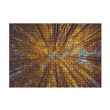 Cakapuzzle Orman Zeminden Yukarı Bakış Sarı Ağaçlar 120 Parça Ahşap Puzzle